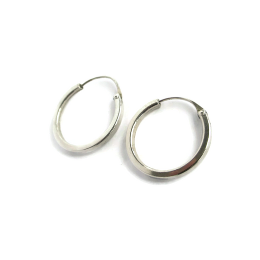 Silver Hoops